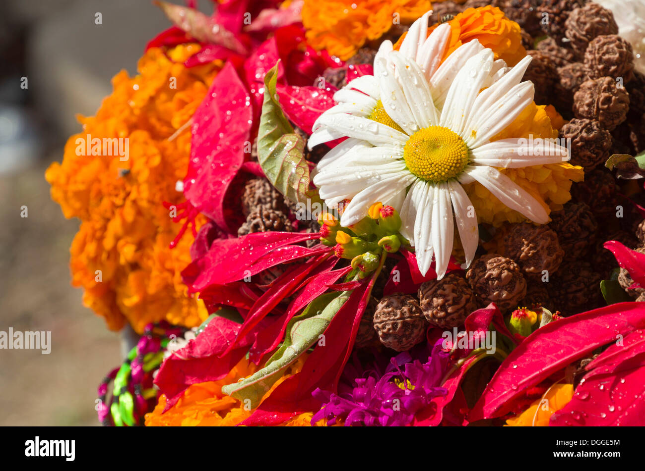 Flowers and a mala as offerings to the gods, Kathmandu, Kathmandu District, Bagmati Zone, Nepal Stock Photo