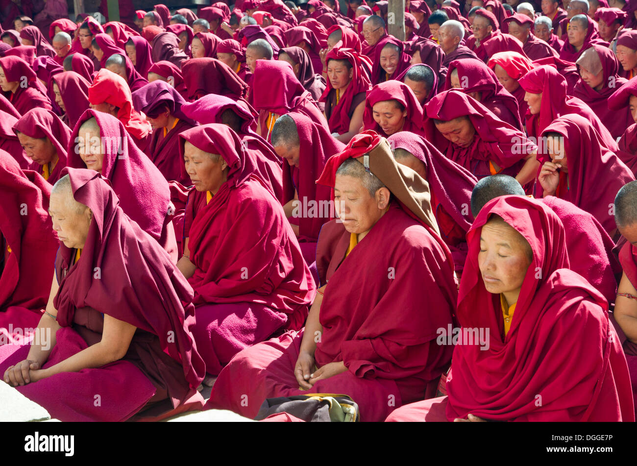 Many nuns wearing red cloths listening the teachings of Taklung Tsetru Rinpoche in the backyard of Junbesi Gompa, Junbesi Stock Photo