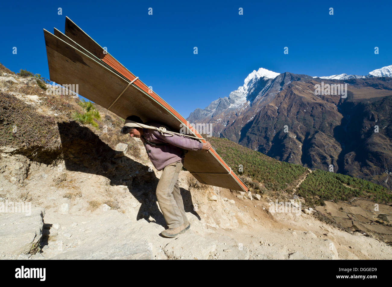 Porter carrying heavy load up an ascending track above Namche Bazar (3. ...