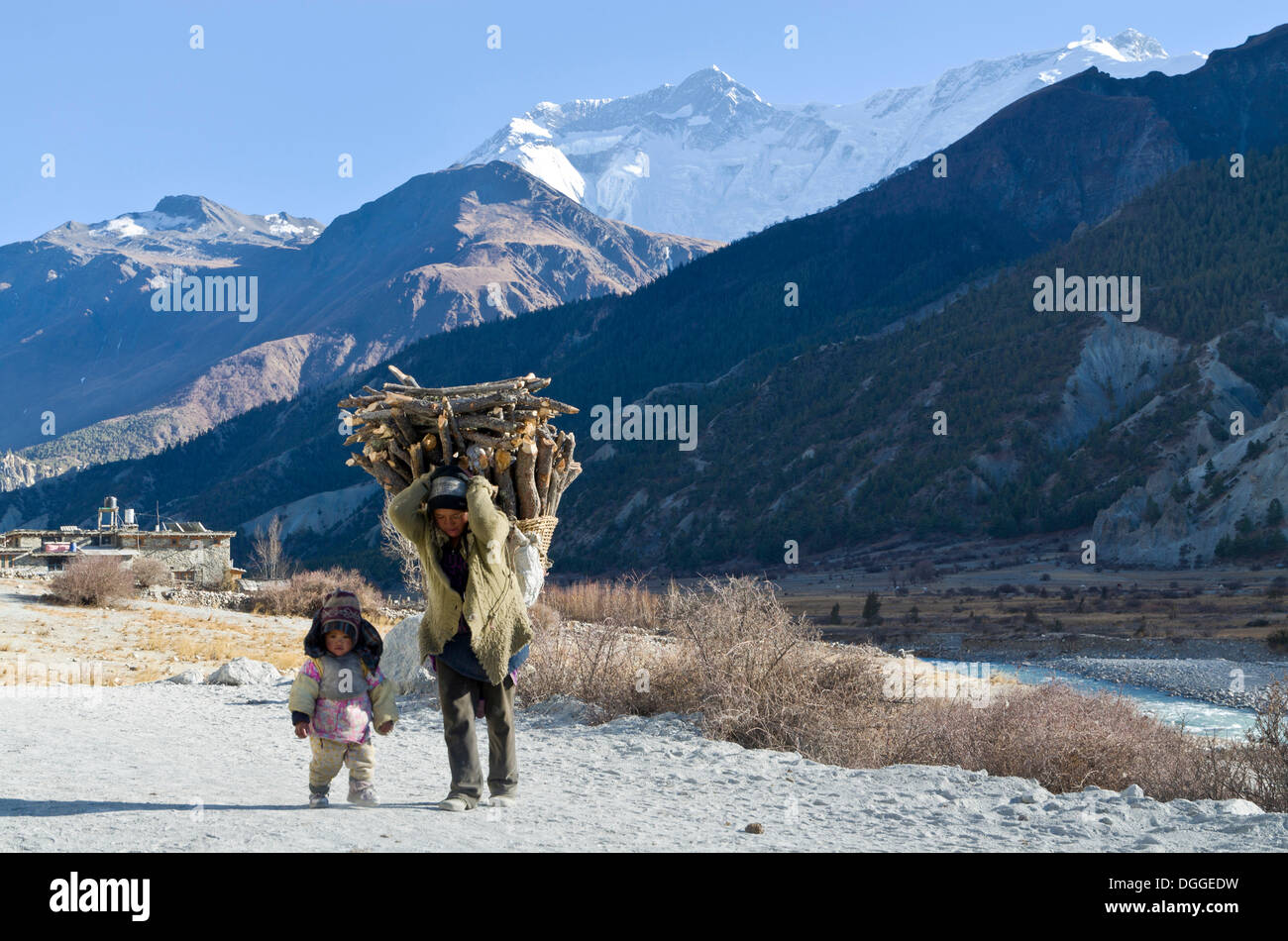 Woman walking with a small child, carrying firewood. Annapurna 2 and 4 in the back, Manang, Annapurna Region, Nepal Stock Photo