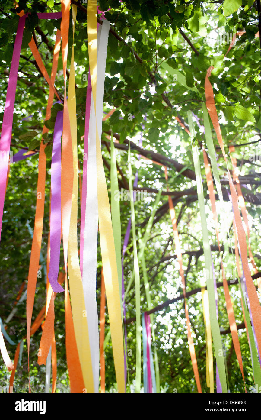 Tree with tied color ribbons Stock Photo