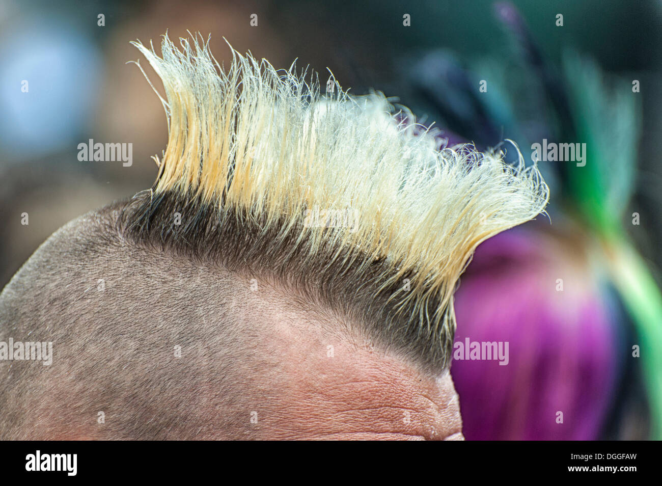 Upper half of the head of a man with a Mohawk haircut, Cologne, North Rhine-Westphalia Stock Photo