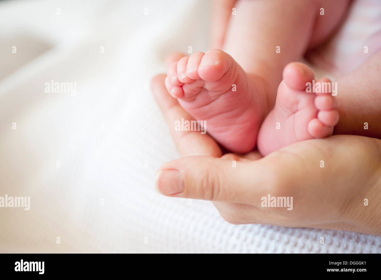 Mid adult woman holding baby girl's feet, close up Stock Photo