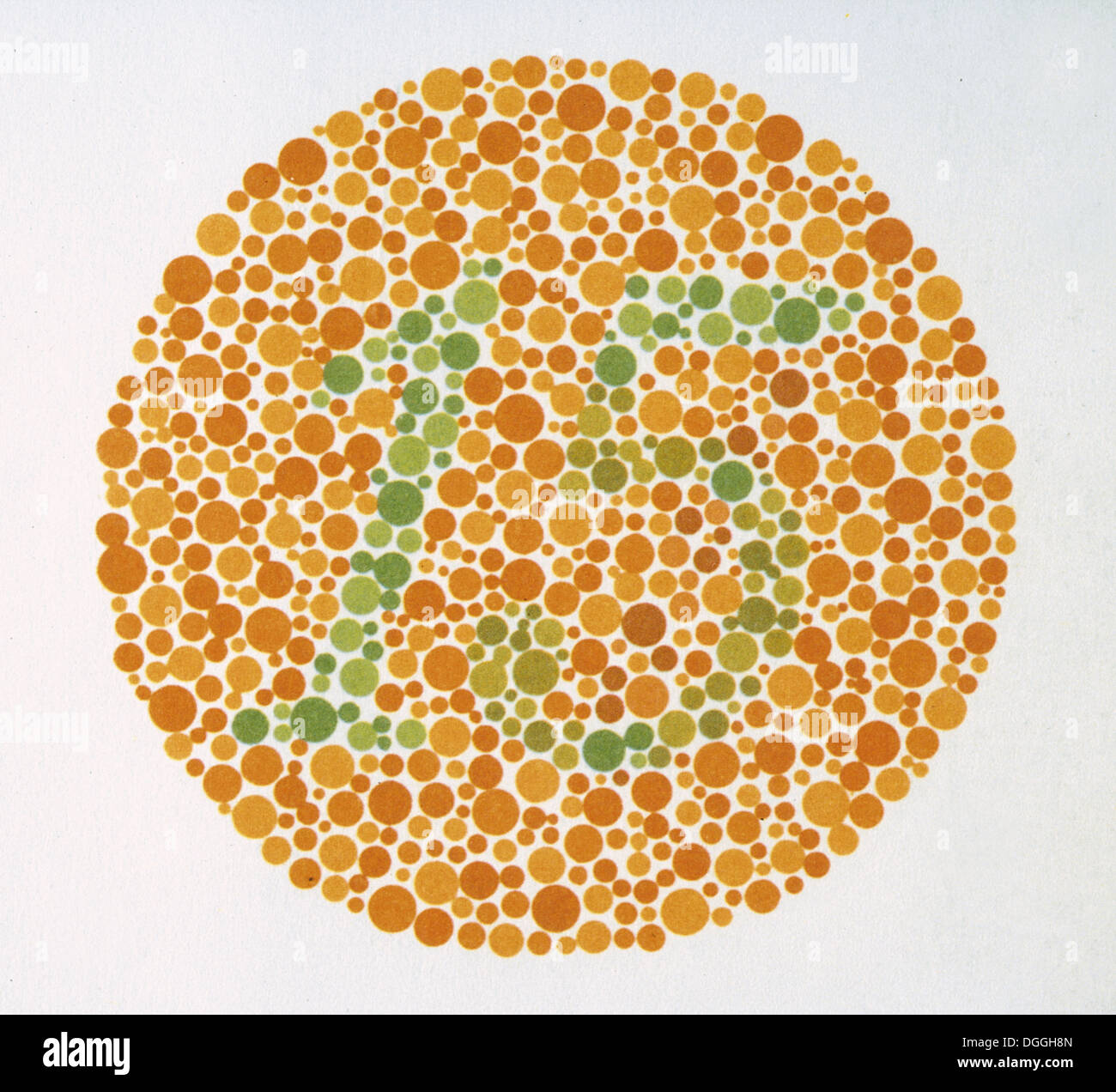 Ishihara Test Chart Book