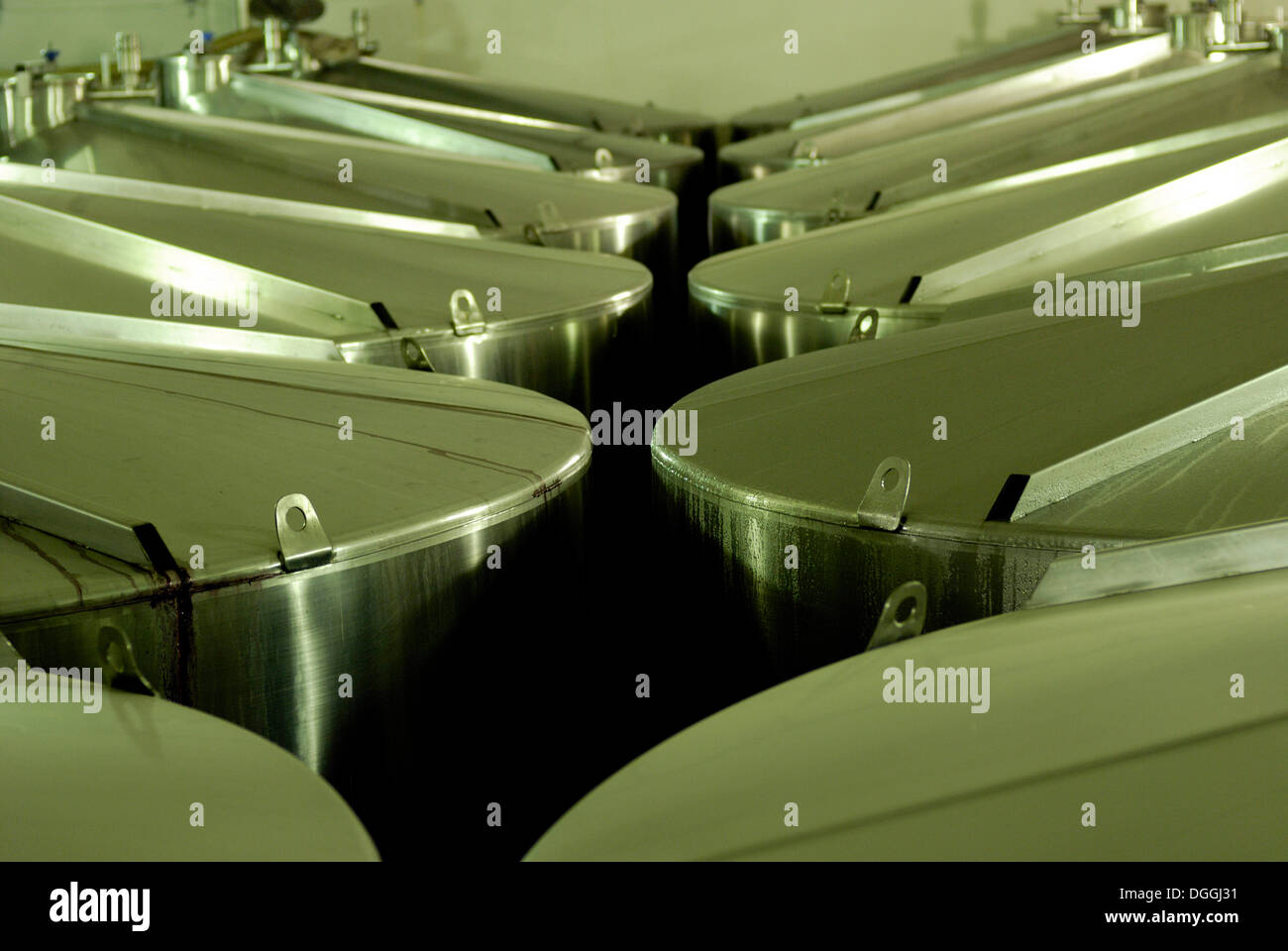 Stainless steel barrels for the production of wine at a winery in Maipu, Mendoza Province