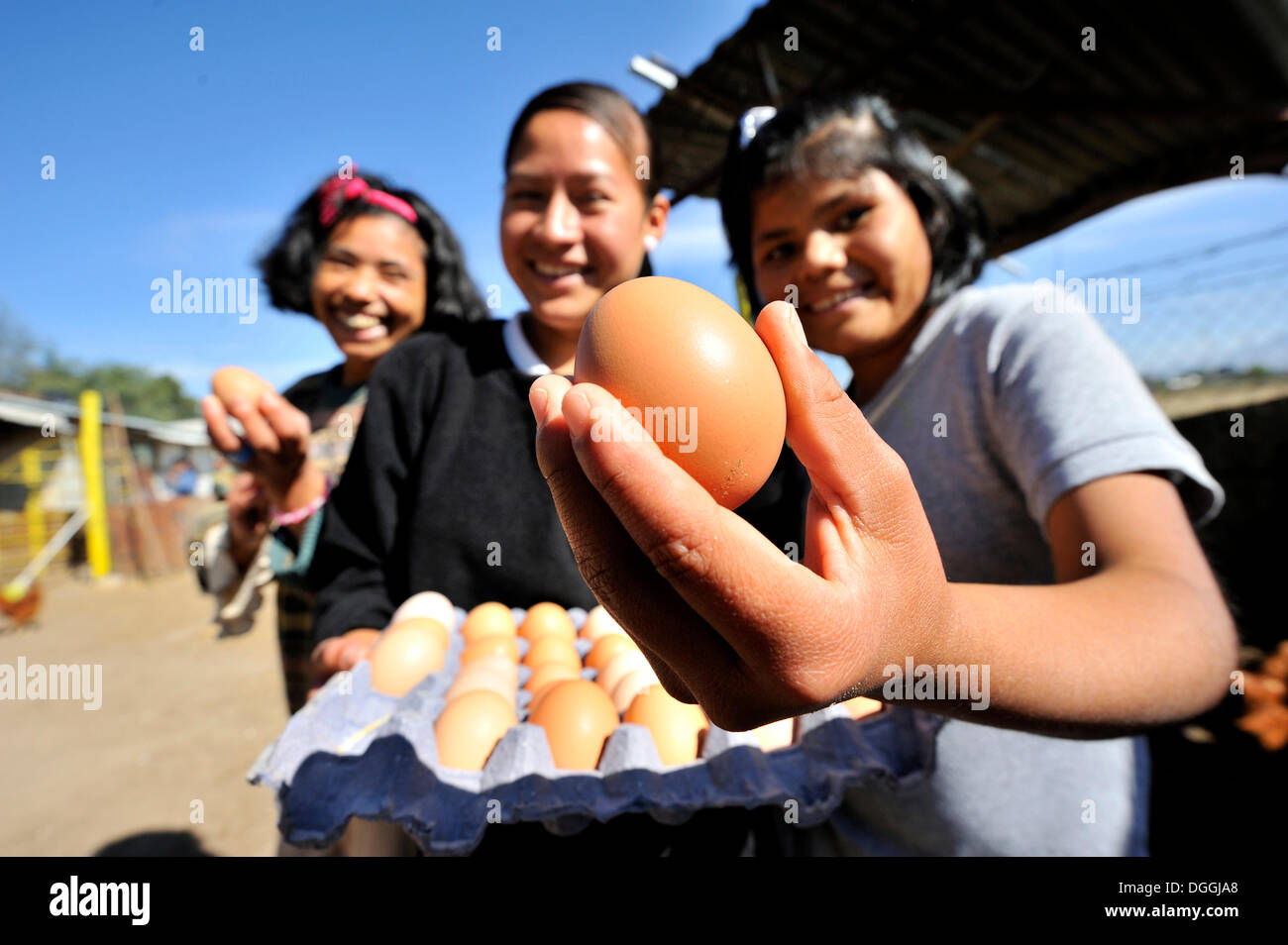 Girls showing eggs from the chicken-breeding facility for the disabled, Mateo Quinto, Puebla, Mexico, Central America Stock Photo