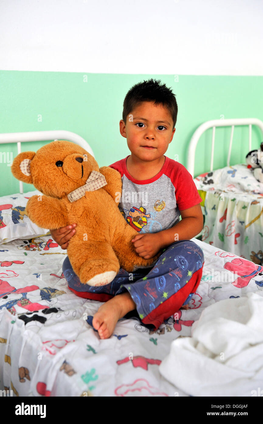 big teddy bed