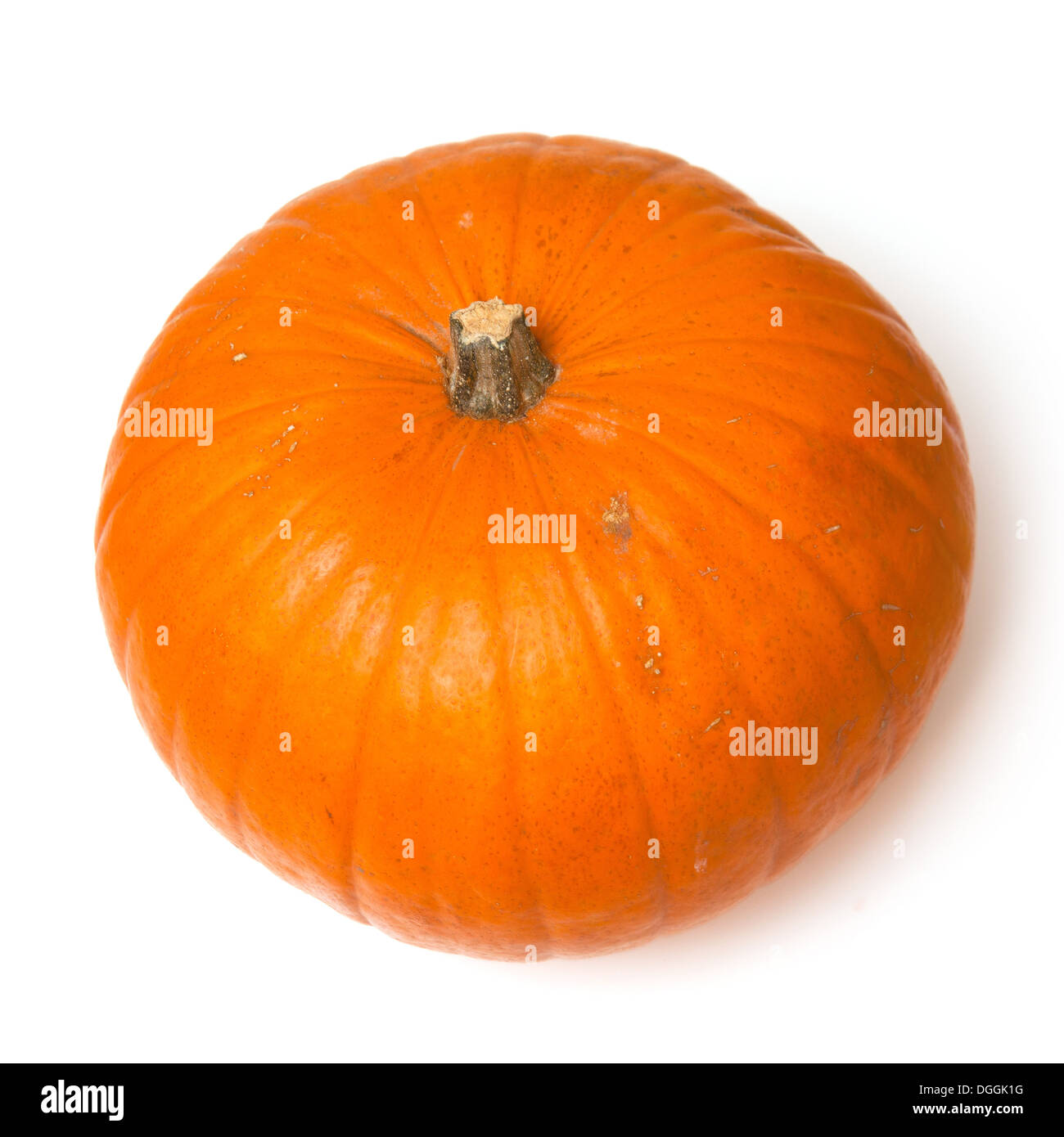 Orange Halloween pumpkin isolated on a white studio background. Stock Photo