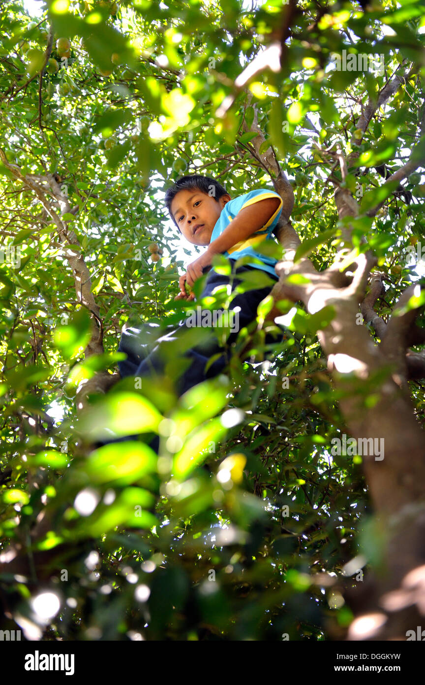 Ache people paraguay hi-res stock photography and images - Alamy