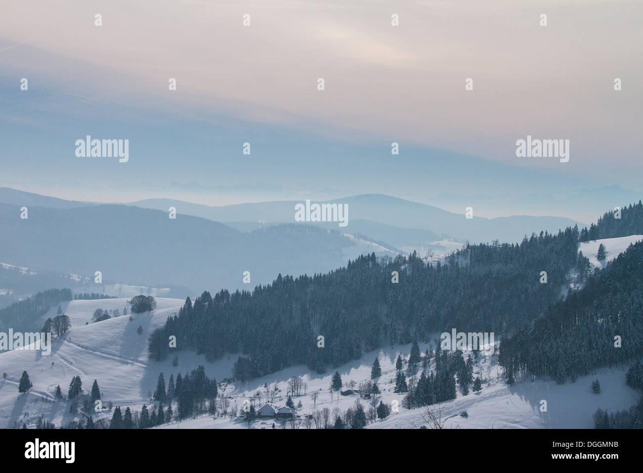 Winter landscape, Feldberg - Schwarzwald, Black Forest, Baden-Württemberg, Germany Stock Photo