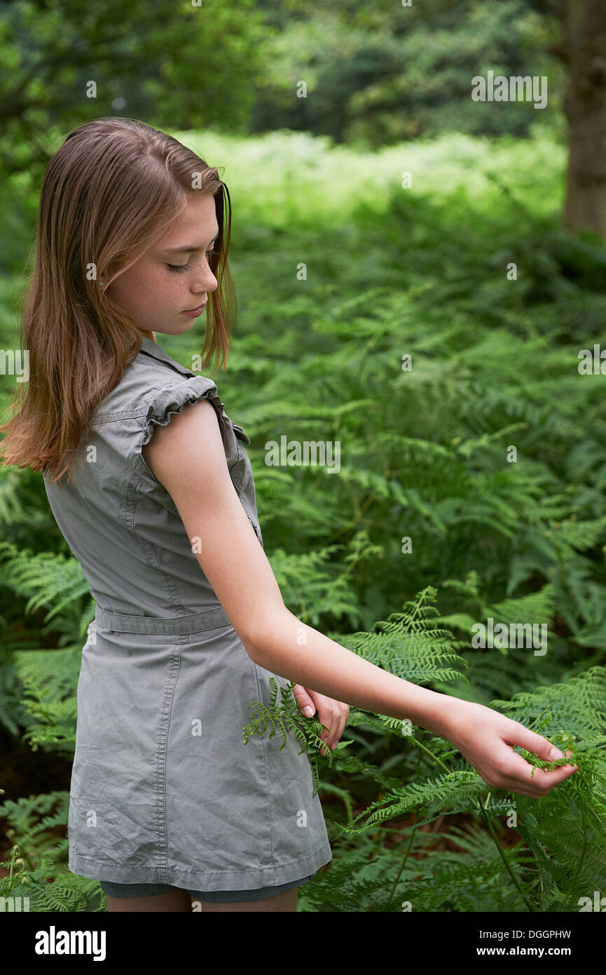 Teenage girl touching bracken in forest Stock Photo