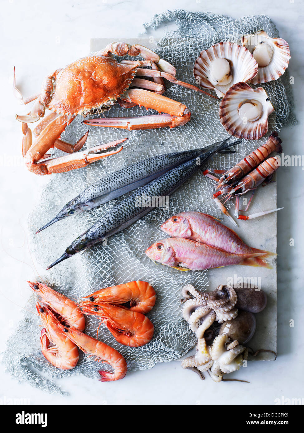 Selection of fresh seafood Stock Photo Alamy