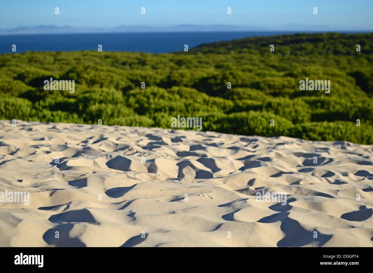 Spectacular dunes in Bolonia beach, Tarifa Stock Photo