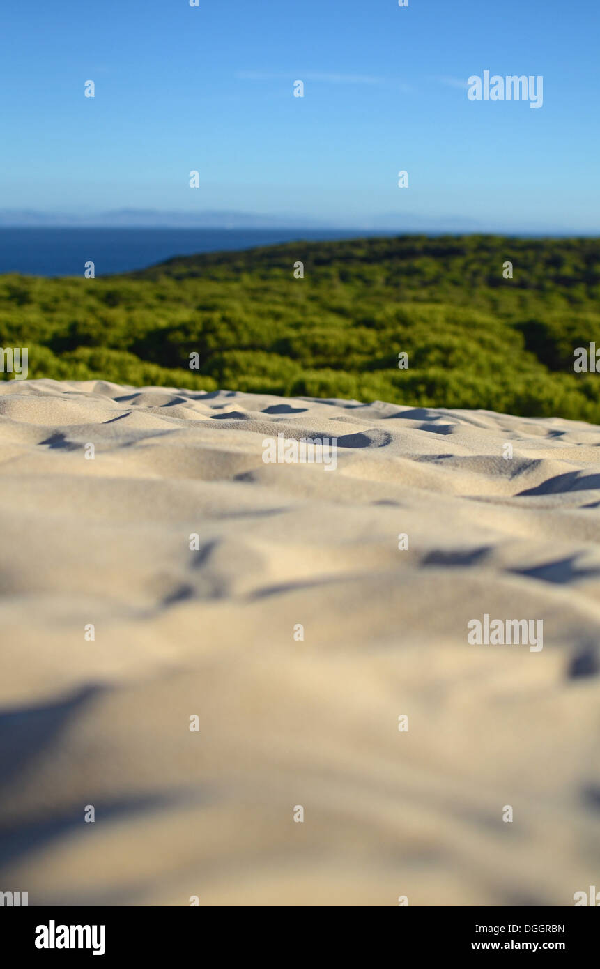 Spectacular dunes in Bolonia beach, Tarifa Stock Photo