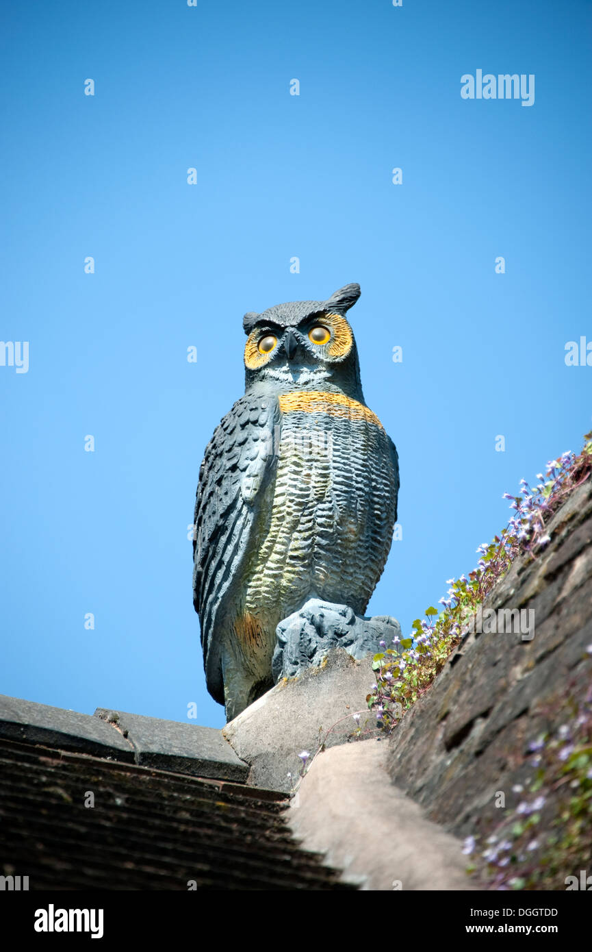 Clay Replica Owl on Roof of building Stock Photo Alamy