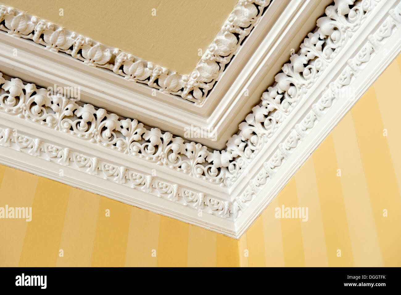 Delicate Intricate Plaster Cornice work Plasterwork Stock Photo