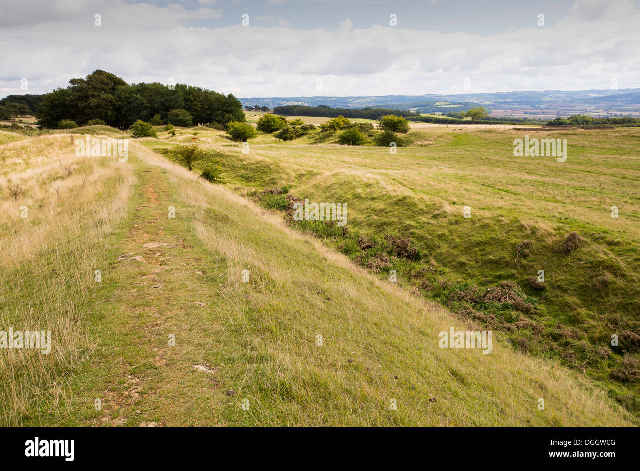 The Vale of Evesham, Worcestershire, UK, from Bredon hill with remains