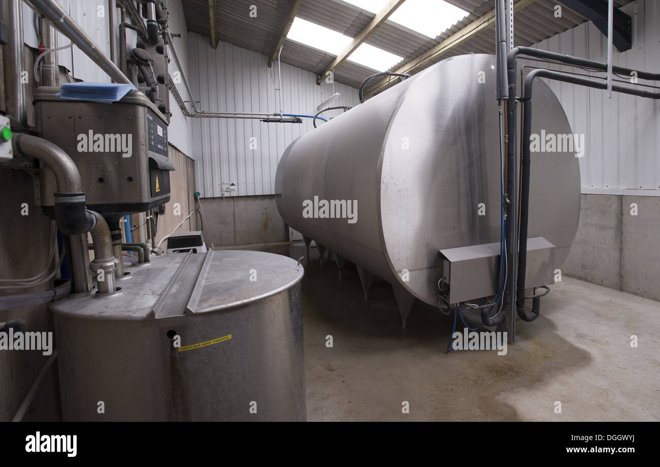 Dairy farming, large capacity bulk milk tank in farm dairy Stock Photo