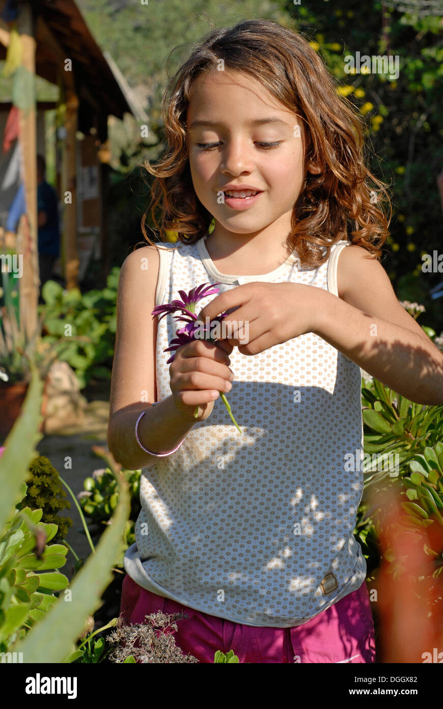 Cute brazilian six year old girl holding a flower in nature Stock Photo