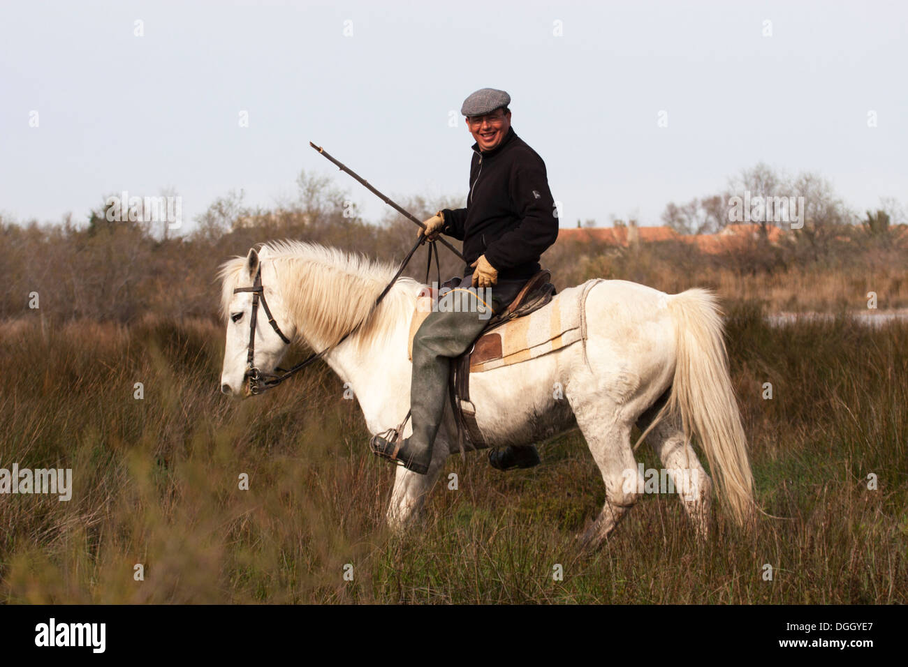 Gardian riding Camargue horse through a rural field in southern France Stock Photo