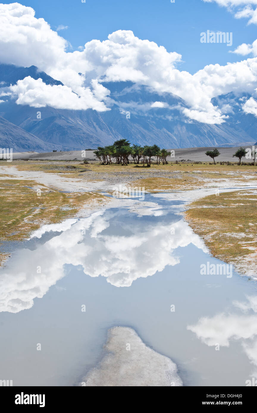 Sunny day view with trees at Nubra Valley. Himalaya mountains landscape. India, Ladakh, altitude 3100 m Stock Photo