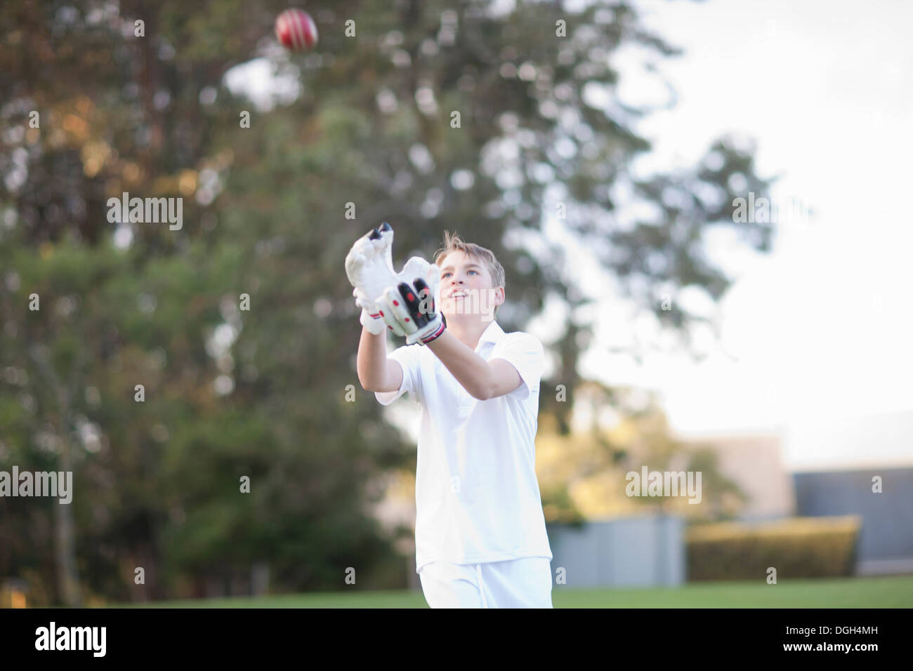 Boy catching cricket ball Stock Photo Alamy