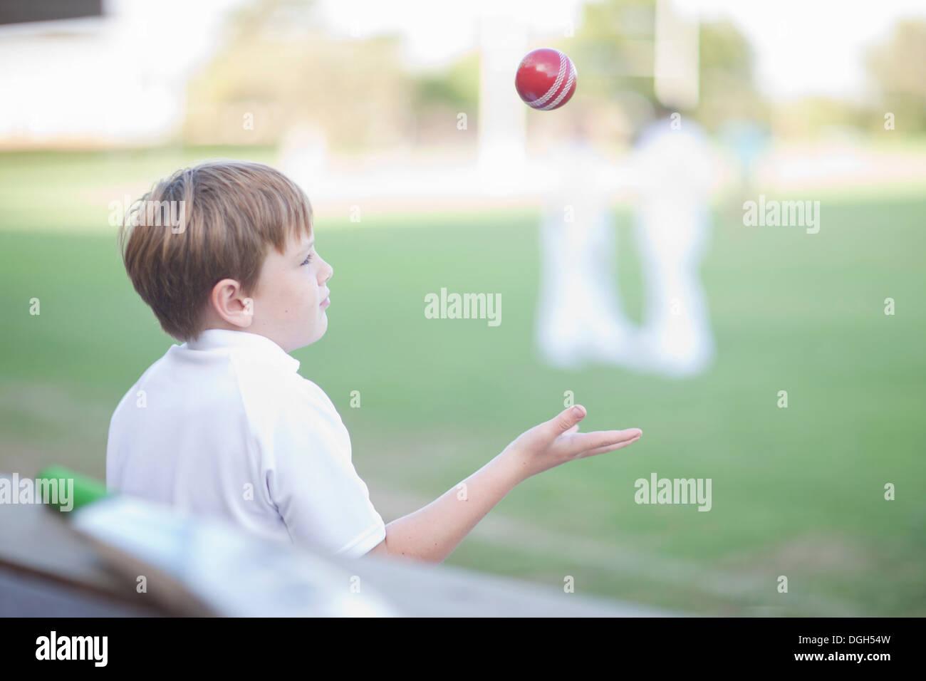Boy catching cricket ball Stock Photo Alamy