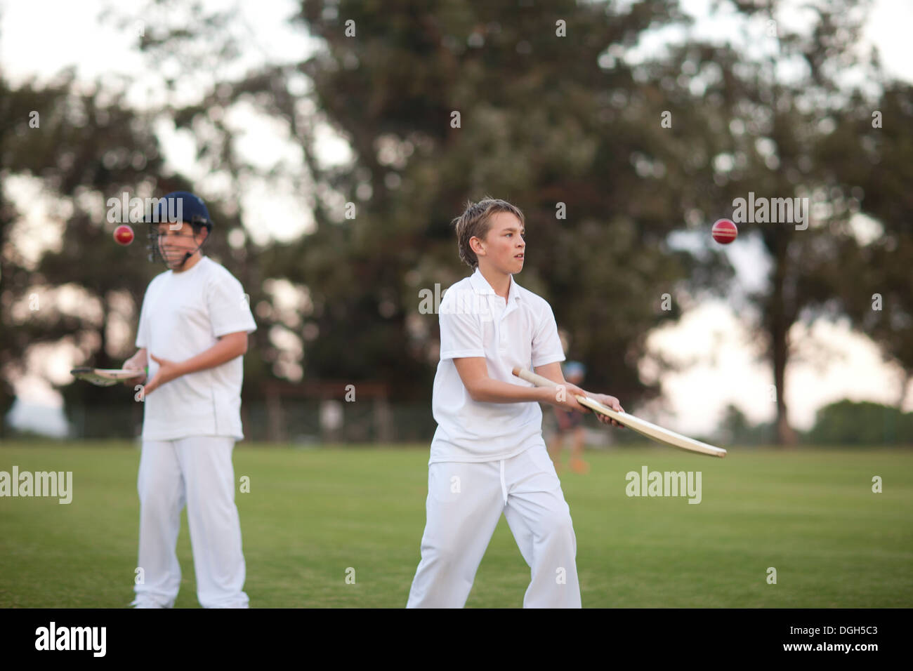 Boys practising hitting cricket ball with bat Stock Photo Alamy