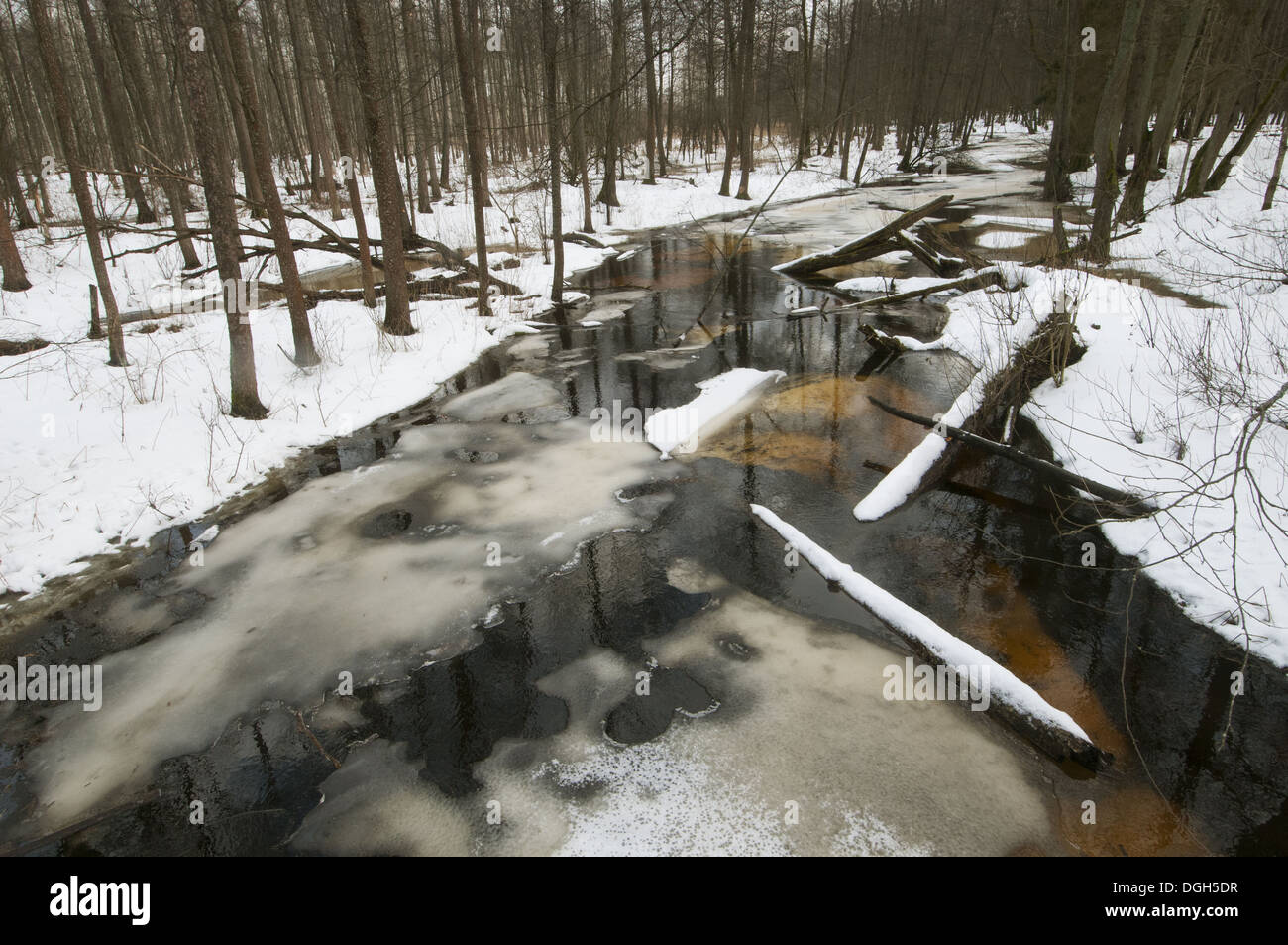 Partially frozen forest river hi-res stock photography and images - Alamy