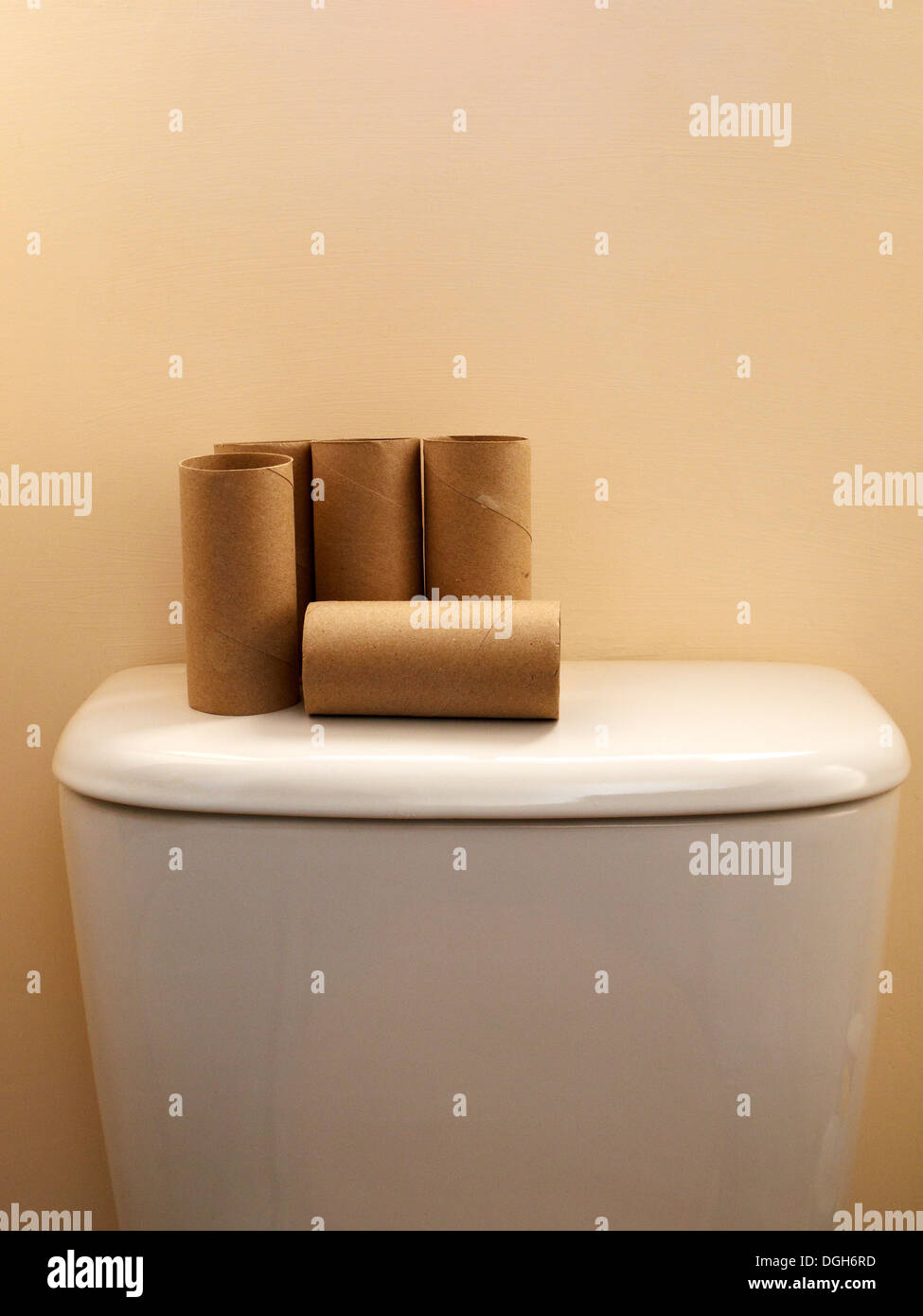 Used toilet rolls Stock Photo Alamy