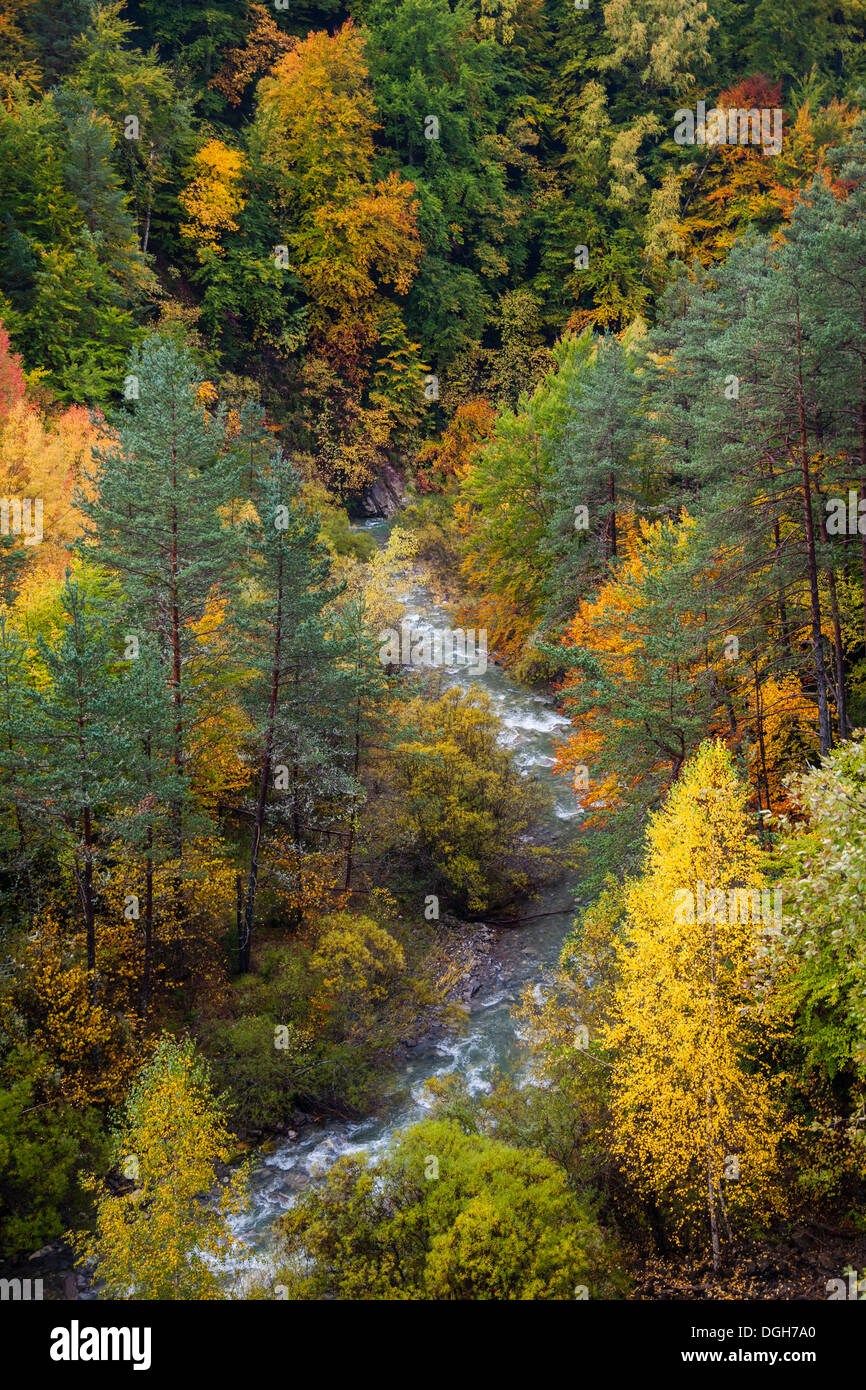 Mix tree forest with river in autumn, Ordesa, Huesca, Aragon, Spain, Europe Stock Photo