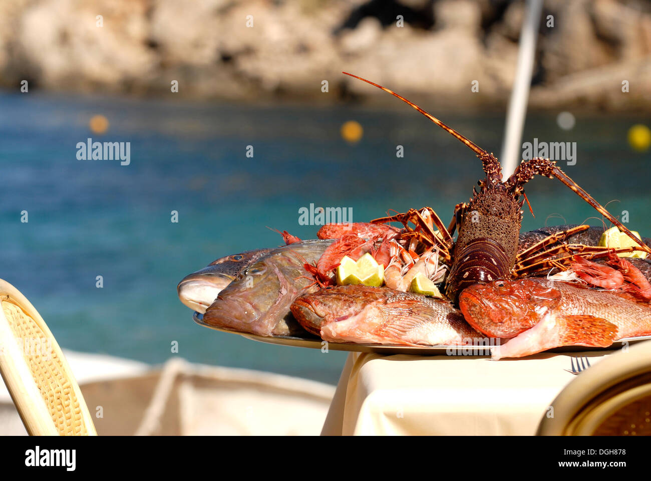 Tray with assorted fresh crayfish in a restaurant, Ibiza, Spain Stock ...