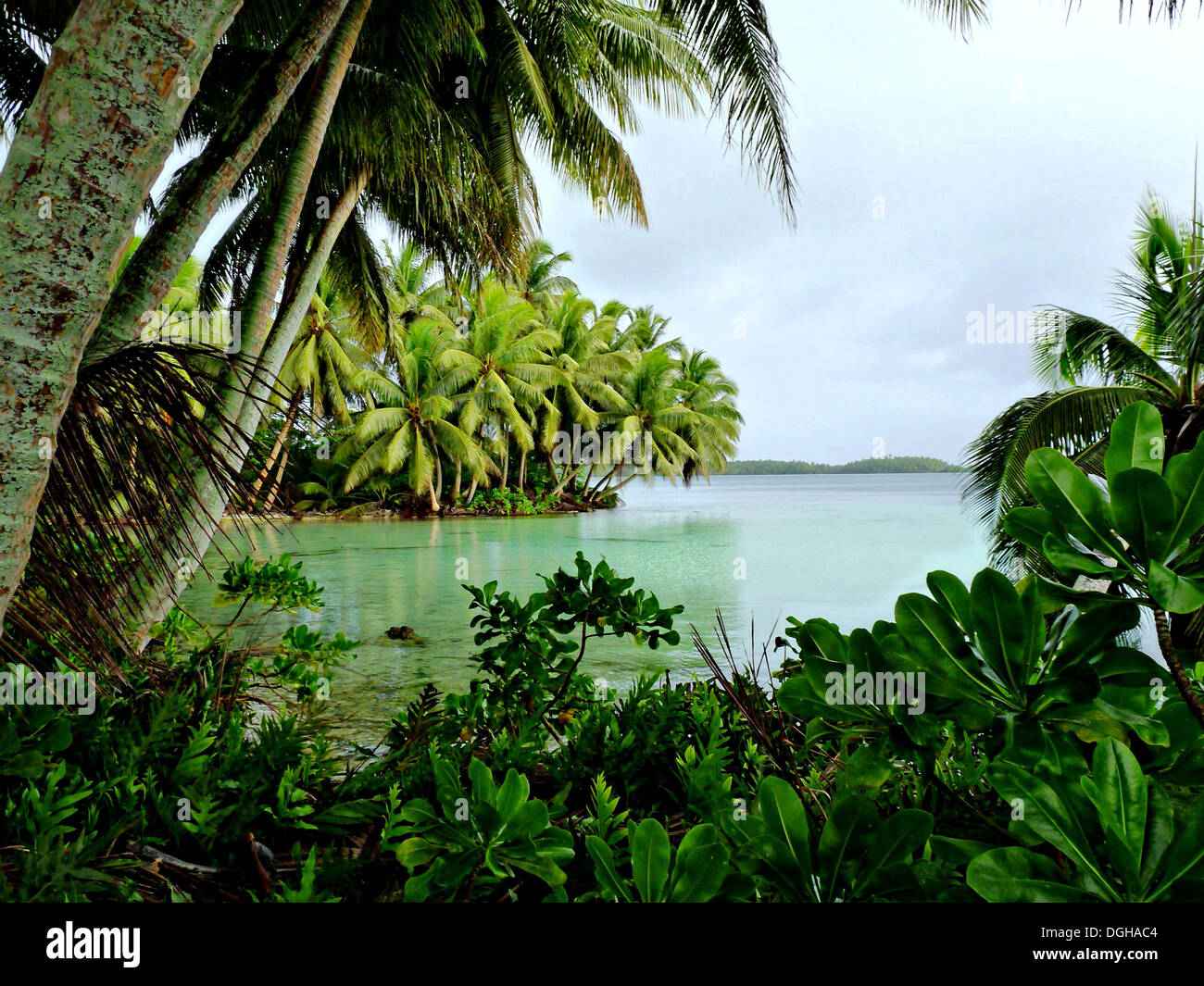 Strawn Island Lagoon on Palmyra Atoll in the South Pacific. Stock Photo