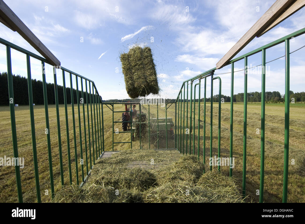 Tractor baling hay crop, baler tossing small bales into wagon, Sweden