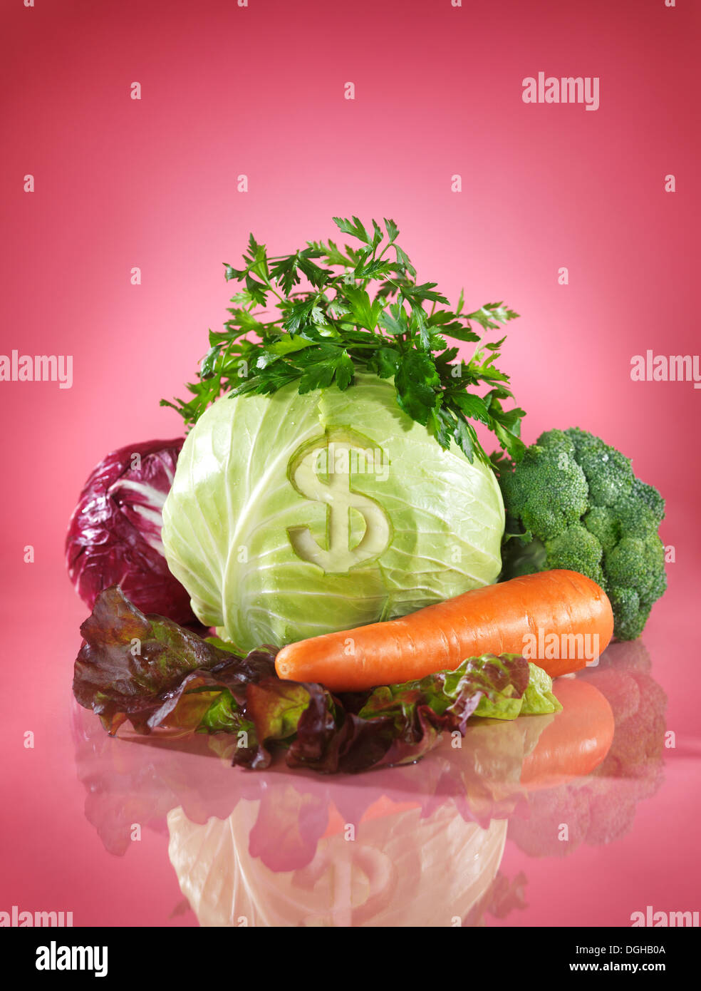 Dollar symbol on cabbage. Healthy eating and money savings food price concept. Isolated on pink background. Stock Photo