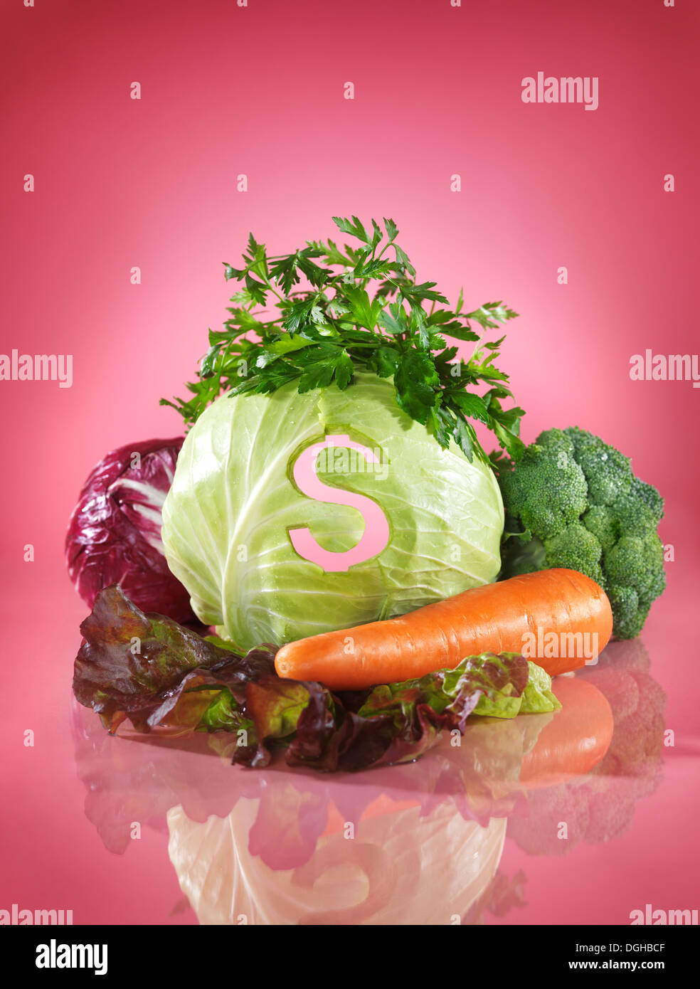 Vegetable food conceptual still life with dollar symbol on cabbage. Food price, saving money on produce concept Stock Photo