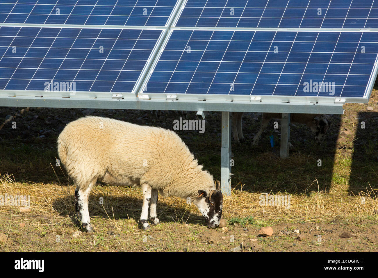 Wymeswold Solar Farm the largest solar farm in the UK at 34 MWp, based ...