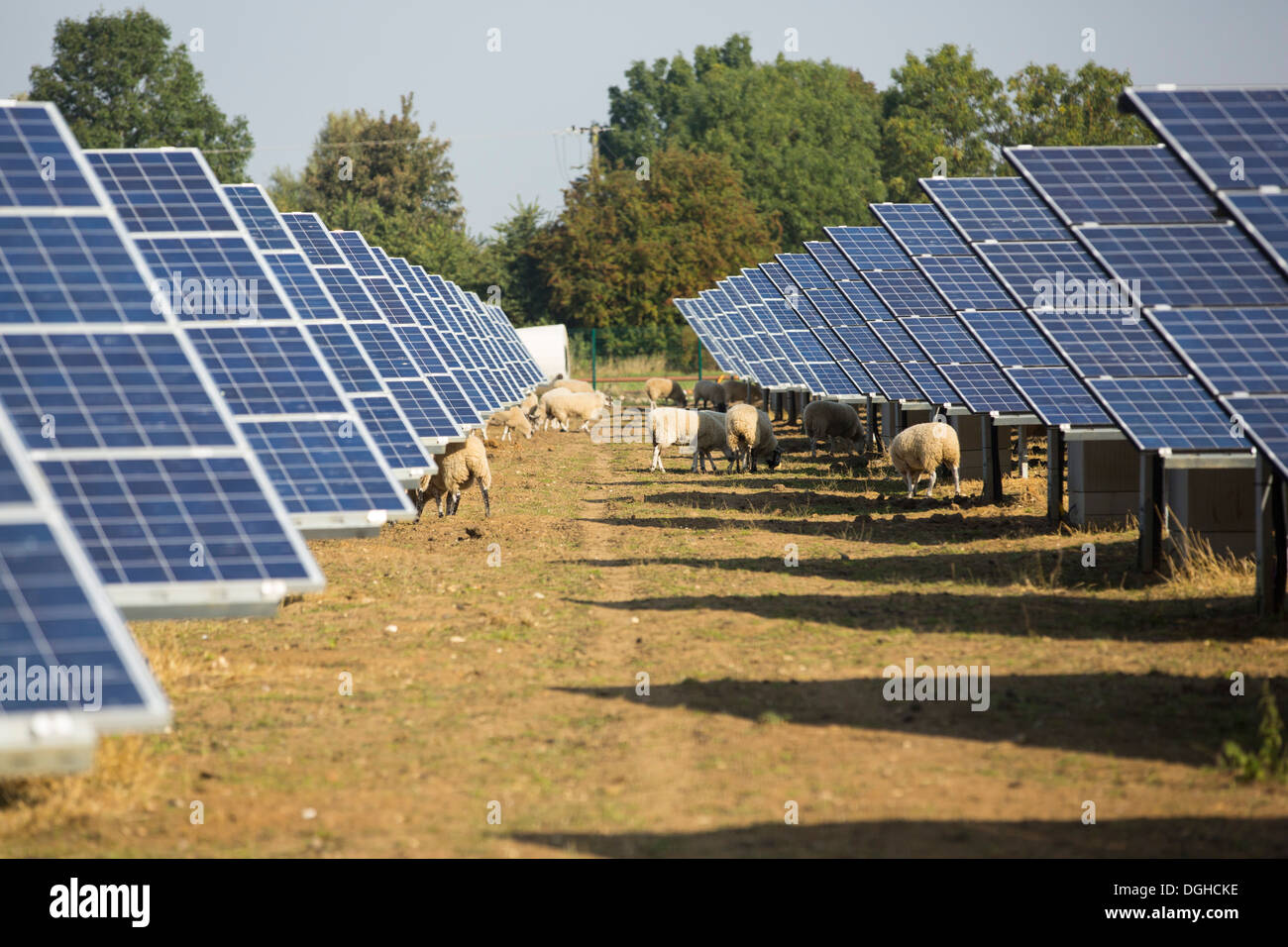 Wymeswold Solar Farm the largest solar farm in the UK at 34 MWp, based on an old disused second world war airfield, Leicestershire, UK. It contains 130,000 panels and covers 150 acres. Stock Photo