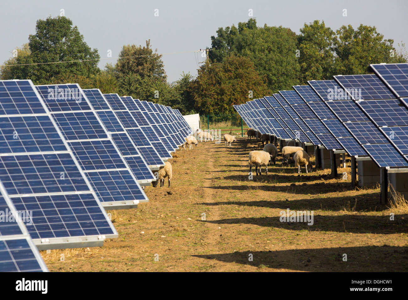 Wymeswold Solar Farm the largest solar farm in the UK at 34 MWp, based ...