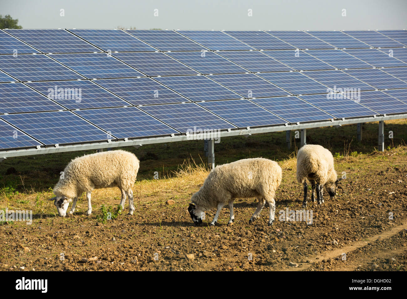 Wymeswold Solar Farm the largest solar farm in the UK at 34 MWp, based ...