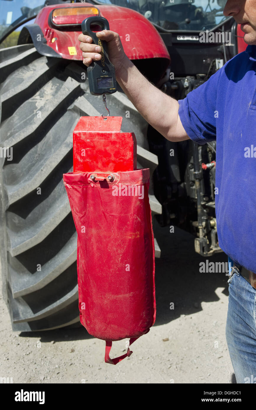 Farmer checking how much to sow on Vaderstad Rapid A 600S seed drill, Upplands Vasby, Sweden, may Stock Photo