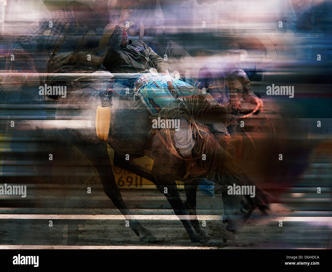 Rodeo Abstract Bareback hi-res stock photography and images - Alamy