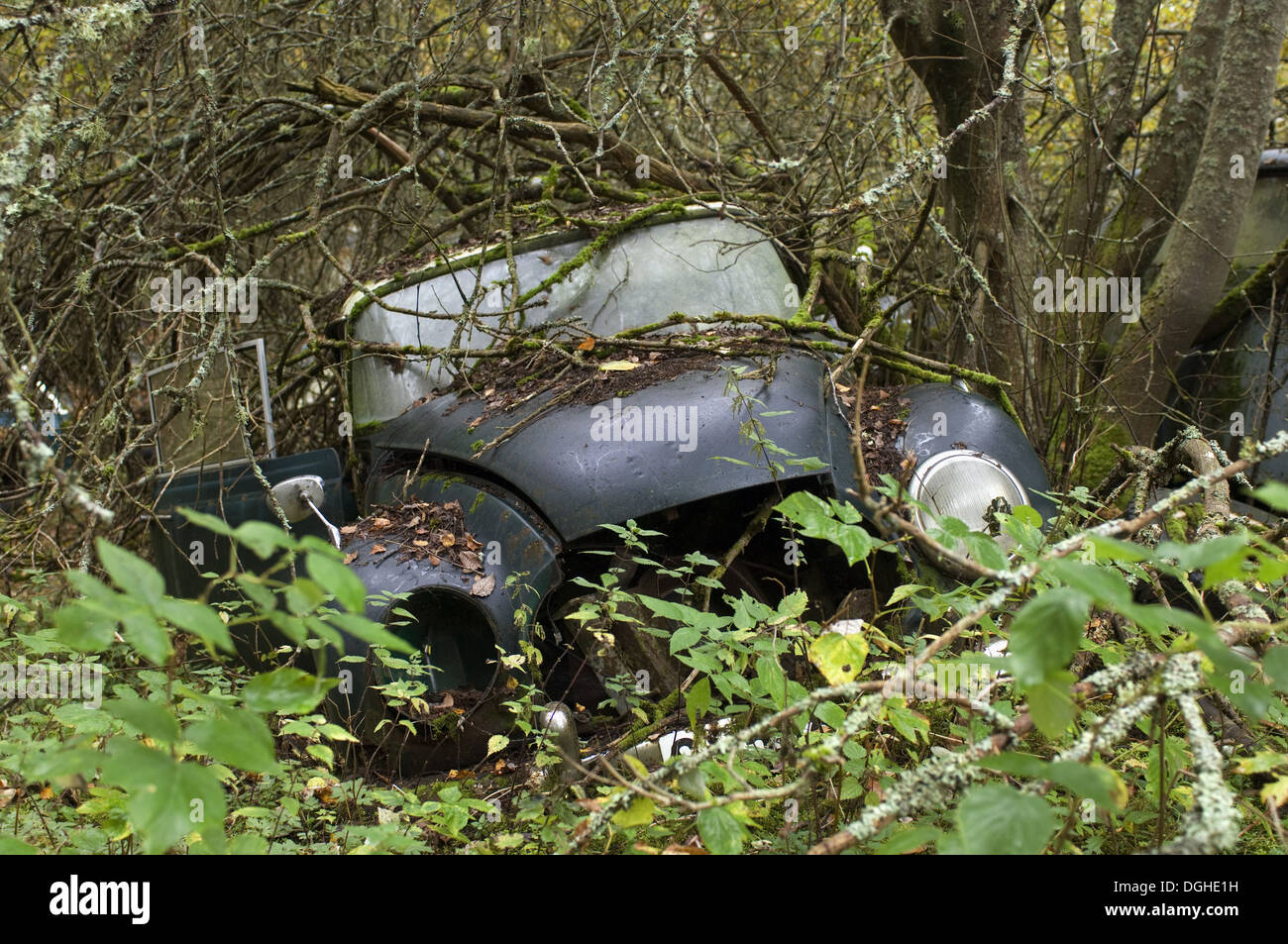 Scrap car (old Dampf-Kraft-Wagen) in forest, Sweden Stock Photo