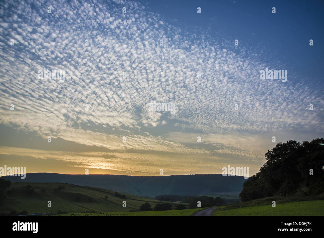 Altocumulus 'Mackerel Sky' at sunset, Whitewell, Lancashire, England, August Stock Photo