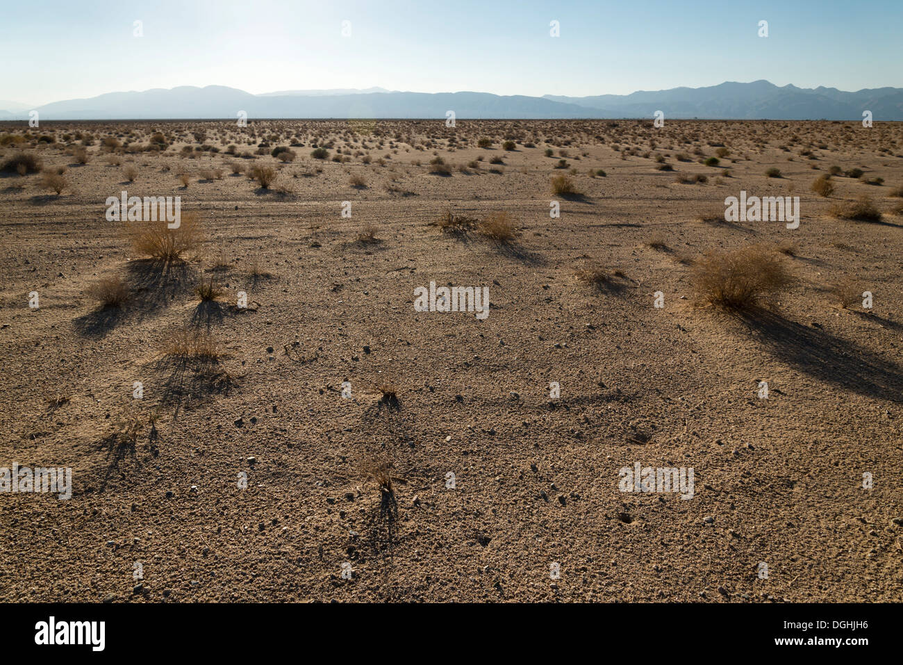 Late afternoon sun over the horizon in the desert near California City. Stock Photo