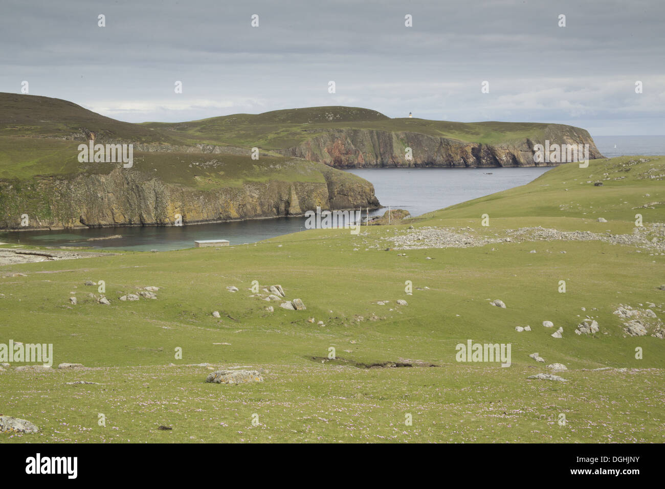 View of coastline and cliffs, Fair Isle, Shetland Islands, Scotland, June Stock Photo