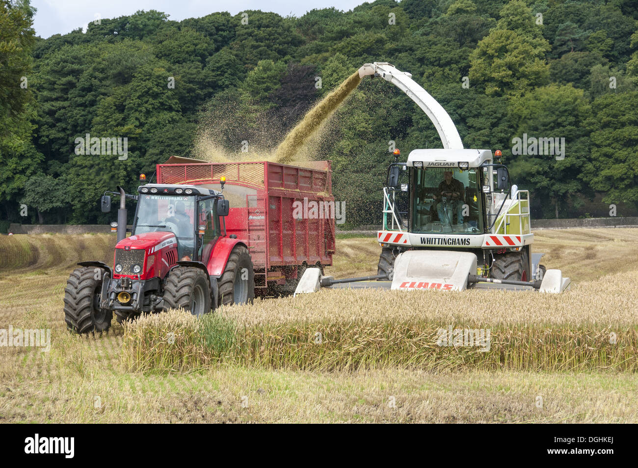 Crop/Wheat Farming + Tractors Out Now!