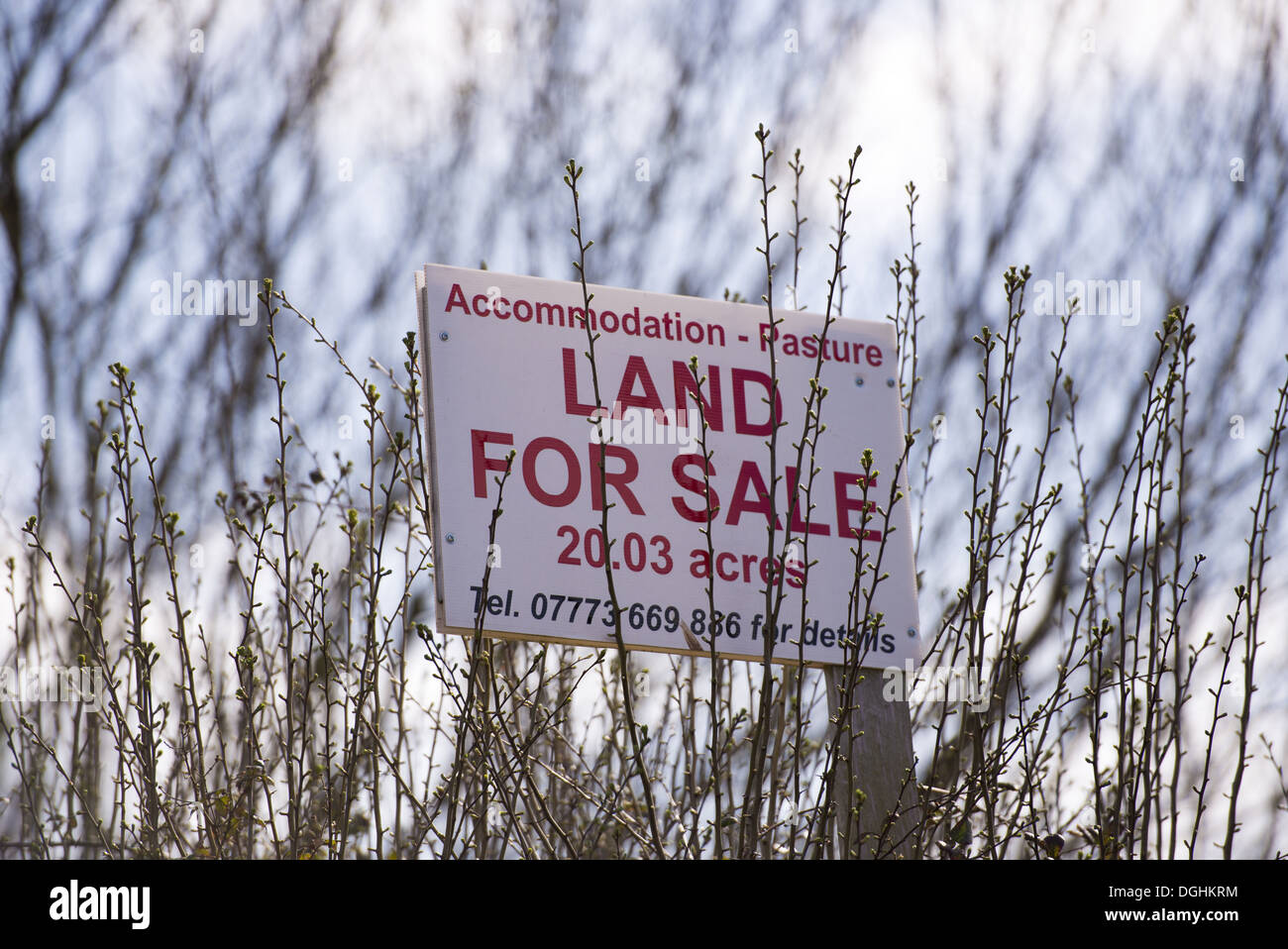Pasture Land For Sale' sign, Oulton, Cheshire, England