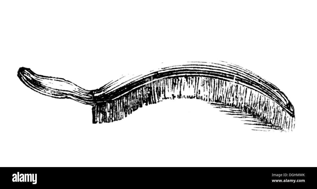 Curved hand broom, historical illustration from: Marie Adenfeller, Friedrich Werner: Illustrated cooking and housekeeping book Stock Photo