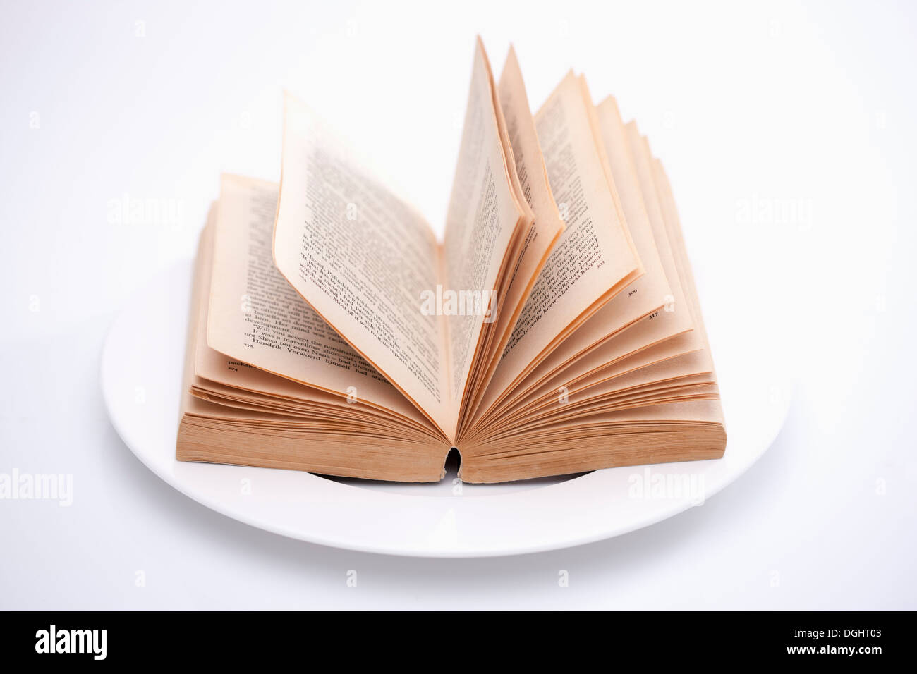 Layed Open Book an open book lying on a plate Stock Photo - Alamy